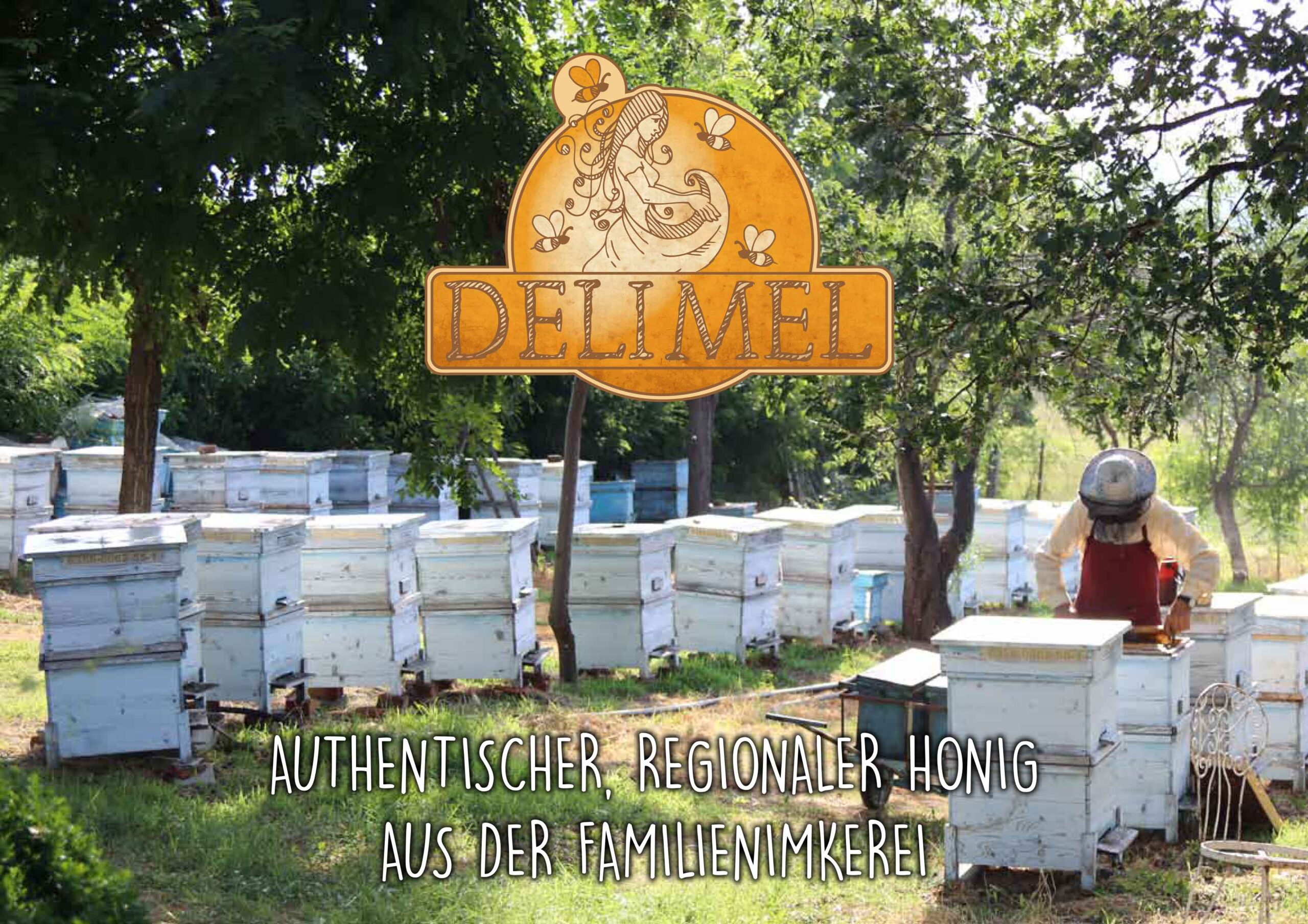 Delimel_Flyer_cover